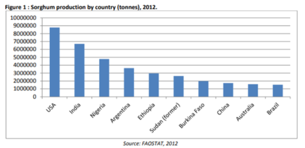 Sorghum Production - Agriculture Nigeria