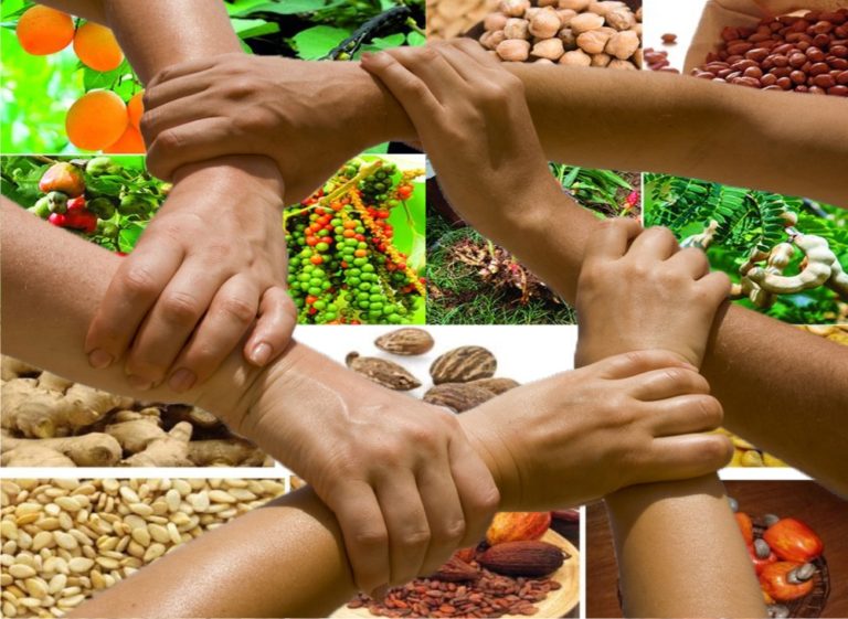 Agricultural Cooperatives Detailed Information Types And Benefits