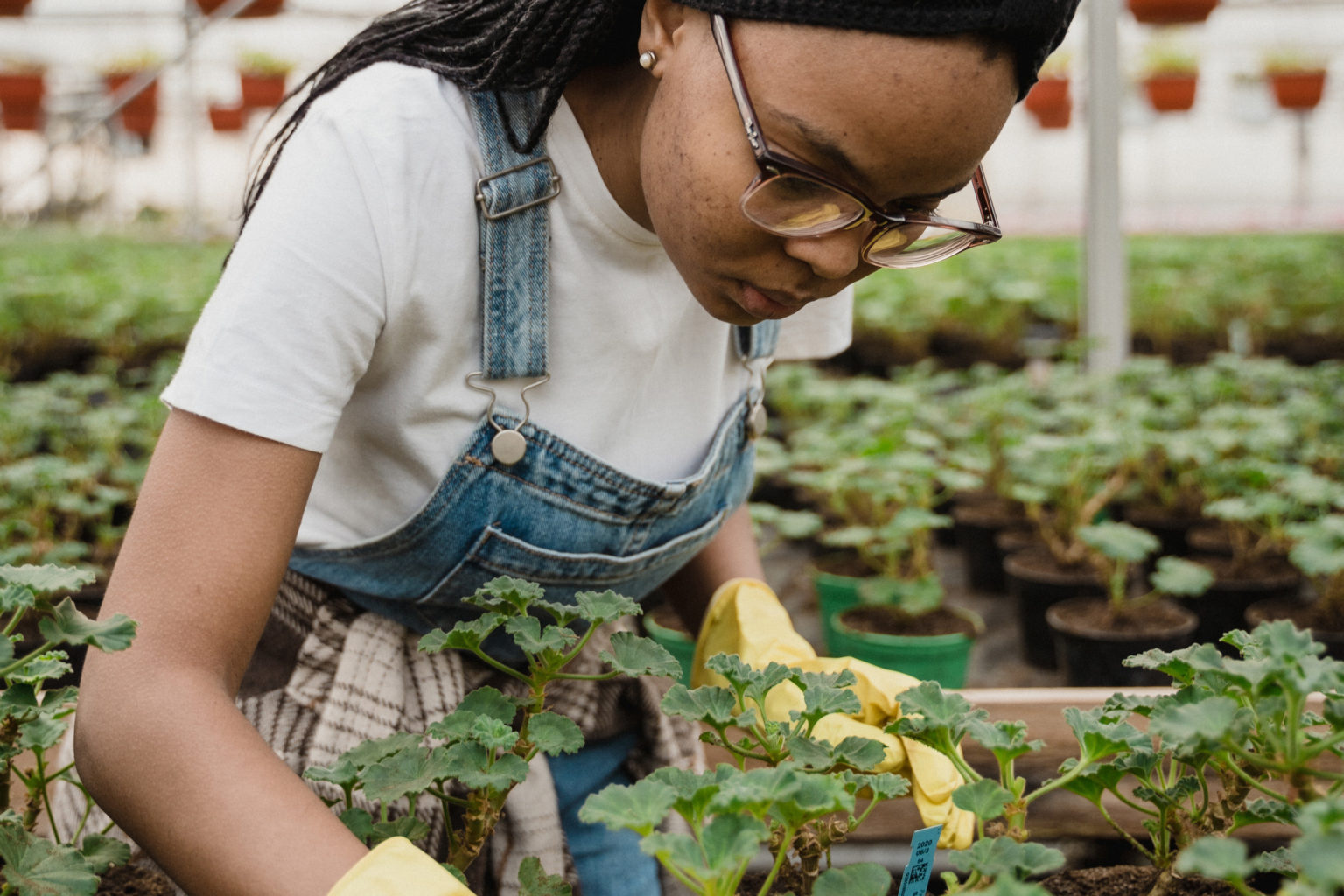 crop-production-agriculture-nigeria