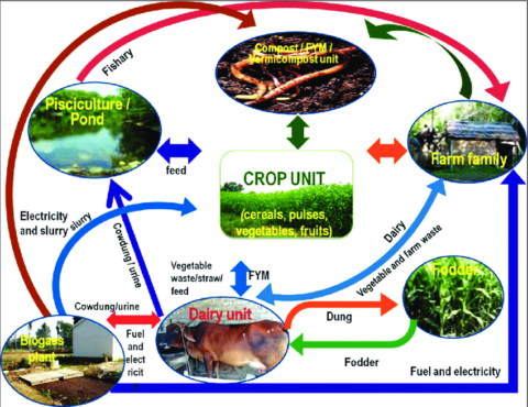 USING INTEGRATED FARMING TO INCREASE FARMING SUCCESS - Agriculture Nigeria