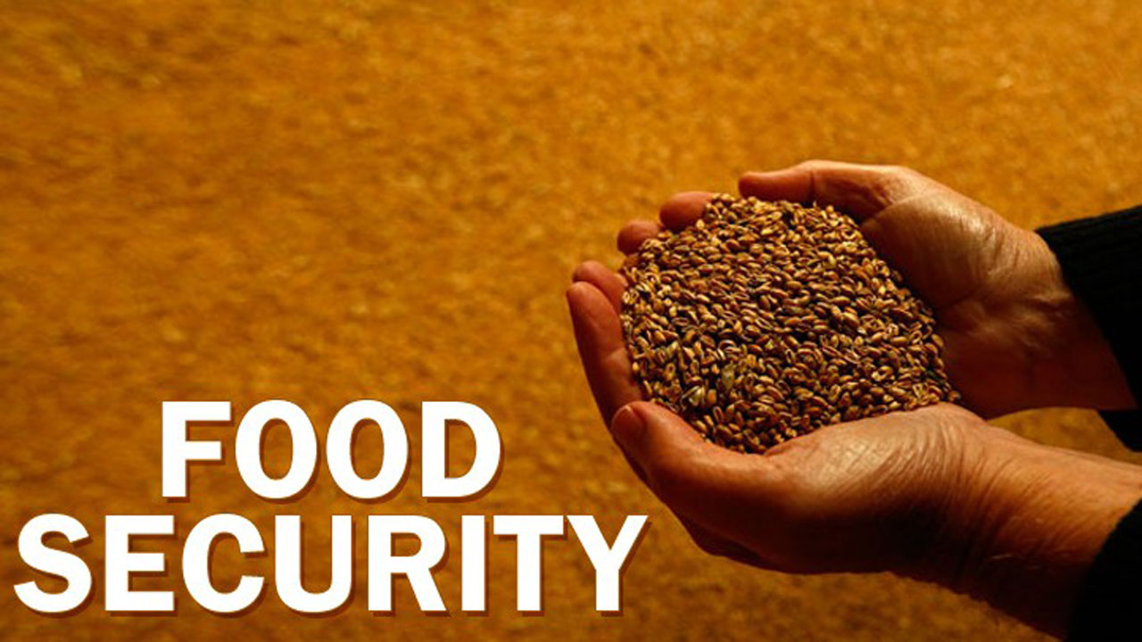 FOOD SECURITY 4 Dimensions Of Food Security Agriculture Nigeria