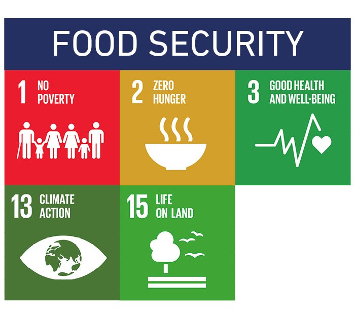 food-security-4-dimensions-of-food-security-agriculture-nigeria